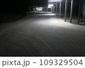 夜の体育館までの街灯 109329504