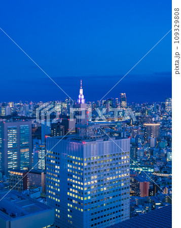 （東京都）都庁展望室から眺める東京都市風景　夕景 109329808