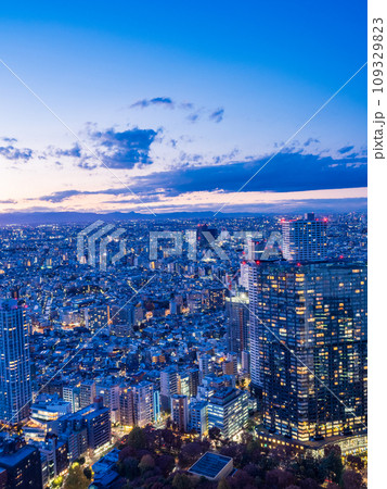 （東京都）都庁展望室から眺める東京都市風景　夕景 109329823