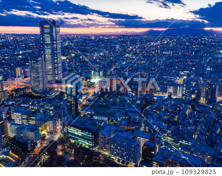 （東京都）都庁展望室から眺める東京都市風景　夕景 109329825