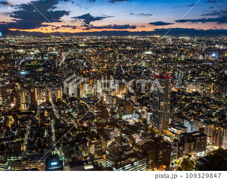 （東京都）都庁展望室から眺める東京都市風景　夕景 109329847