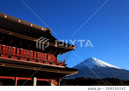 静岡県 「大石寺」三門と富士山の風景 静岡県 「大石寺」三門と富士山の風景 109330142