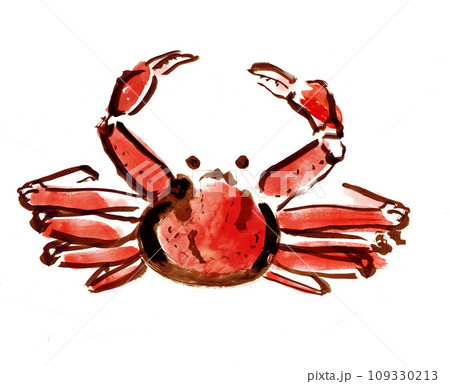 ズワイガニが片方のハサミを上げる和風手描きイラスト ズワイガニが片方のハサミを上げる和風手描きイラスト 109330213