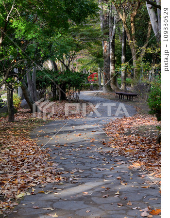 秋の公園の散歩道 109330529