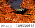 大山の紅葉ライトアップ 109330642