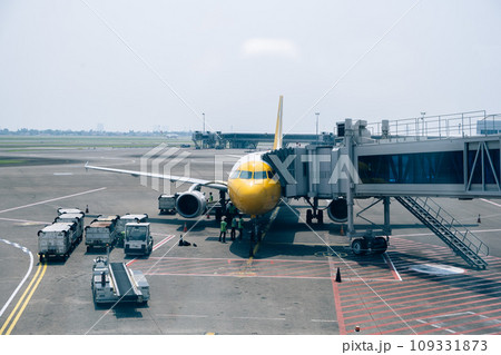 空港で見た飛行機 109331873