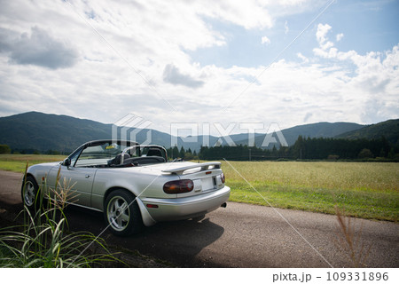 蕎麦畑を背景に佇むオープンカーの後ろ姿 蕎麦畑を背景に佇むオープンカーの後ろ姿 109331896