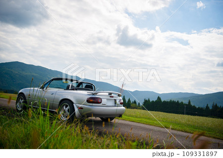 蕎麦畑を背景に佇むオープンカーの後ろ姿(斜めローアングル) 蕎麦畑を背景に佇むオープンカーの後ろ姿(斜めローアングル) 109331897