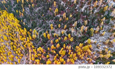 スイス 空撮 鳥瞰図 109332372