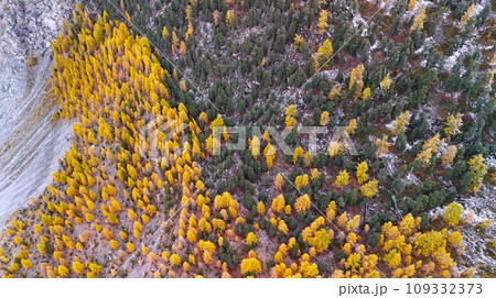 スイス 空撮 鳥瞰図 109332373