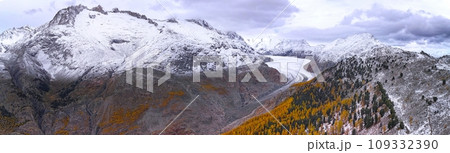 スイス 空撮 鳥瞰図 109332390