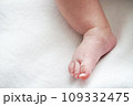 赤ちゃん 新生児の足 109332475