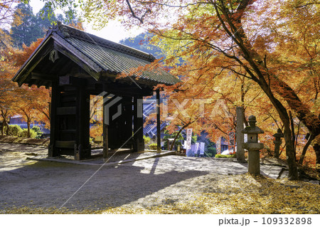 紅葉が美しい秋月城跡（福岡県朝倉市） 109332898