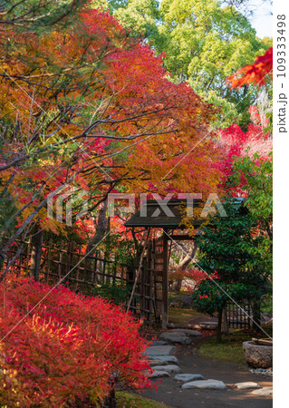秋の白鳥庭園〈愛知県名古屋市〉 109333498