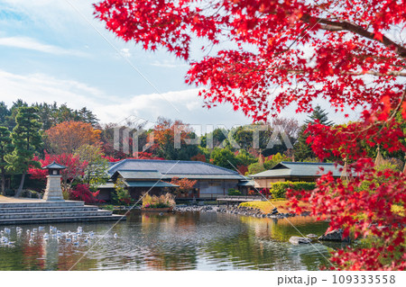 秋の白鳥庭園〈愛知県名古屋市〉 秋の白鳥庭園〈愛知県名古屋市〉 109333558
