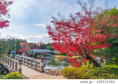 秋の白鳥庭園〈愛知県名古屋市〉 秋の白鳥庭園〈愛知県名古屋市〉 109333560