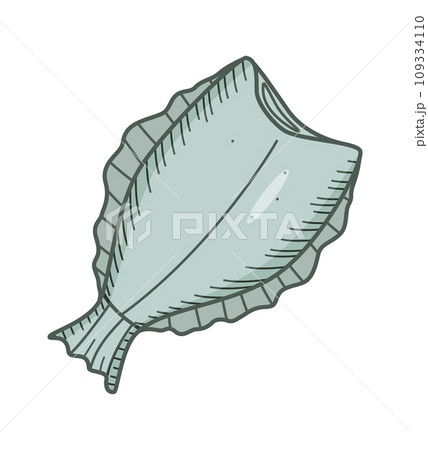 Halibut drawing doodle of a headless fish. Flounder vector illustration of raw or dried fish, seafood. Halibut drawing doodle of a headless fish. Flounder vector illustration of raw or dried fish, seafood. 109334110