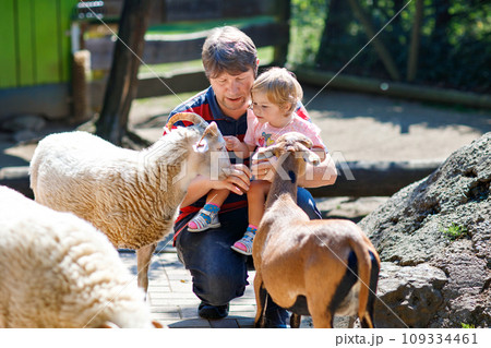 Adorable cute toddler girl and young father feeding little goats and sheeps on a kids farm. Beautiful baby child petting animals in petting zoo. man and daughter together on family weekend vacations. Adorable cute toddler girl and young father feeding little goats and sheeps on a kids farm. Beautiful baby child petting animals in petting zoo. man and daughter together on family weekend vacations. 109334461