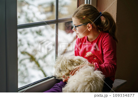 Little girl sitting by window with her pet dog Maltese at home. Happy child and cute puppy looking out on winter snow landscape. Love, friendship, family animal. Little girl sitting by window with her pet dog Maltese at home. Happy child and cute puppy looking out on winter snow landscape. Love, friendship, family animal. 109334877