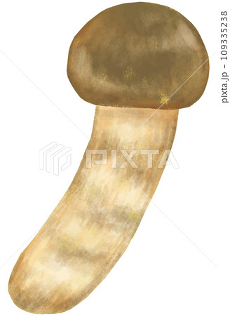 マツタケ きのこ類 109335238
