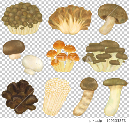 Mushroom set 109335278