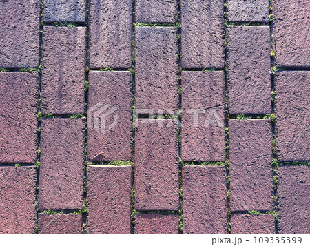 A top down view of a brick walk way. Background, a little grass inside. sunny day view A top down view of a brick walk way. Background, a little grass inside. sunny day view 109335399