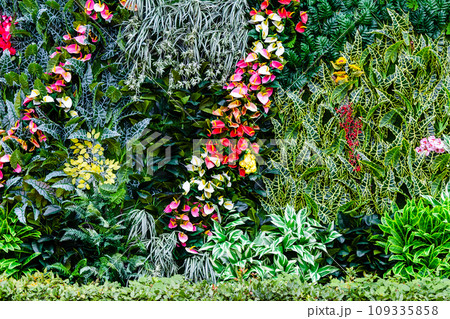 garlands of fresh flowers on green bushes and tree 109335858