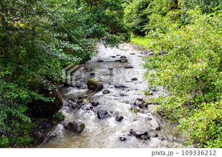 small mountain river Makho in Adjara in autumn 109336212