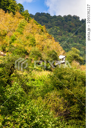 rural house on mountain slope in Adjara in autumn 109336227