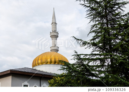 dome and minaret of Orta Jame mosque in Batumi 109336326