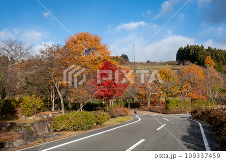 晩秋の中之条ガーデンズ 群馬県 晩秋の中之条ガーデンズ 群馬県 109337459