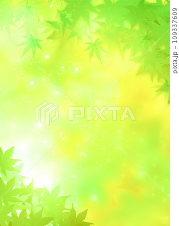 新緑背景の緑の葉と紅葉 109337609