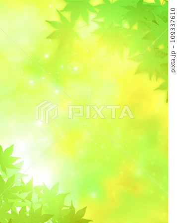 新緑背景の緑の葉と紅葉 新緑背景の緑の葉と紅葉 109337610