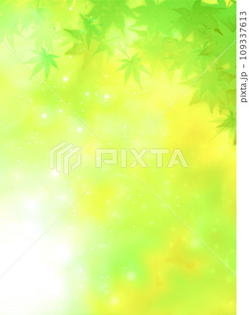 新緑背景の緑の葉と紅葉 109337613