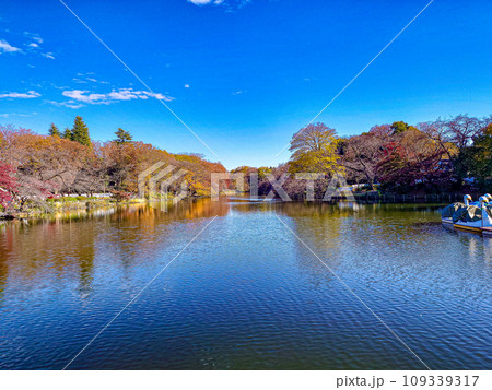 井の頭恩賜公園 井の頭恩賜公園 109339317