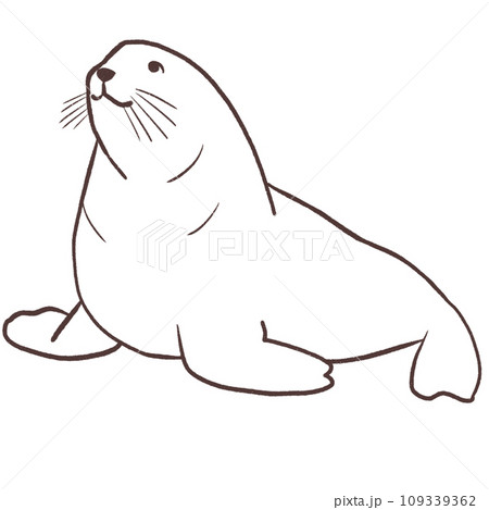 トドのシンプル　線画イラスト 109339362