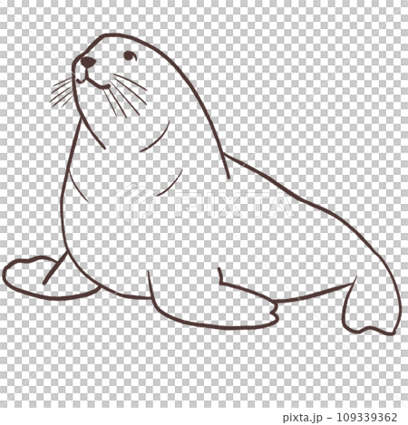 トドのシンプル　線画イラスト 109339362