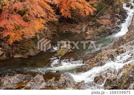 栃木県にある紅葉がとても美しい馬門の滝 栃木県にある紅葉がとても美しい馬門の滝 109339975