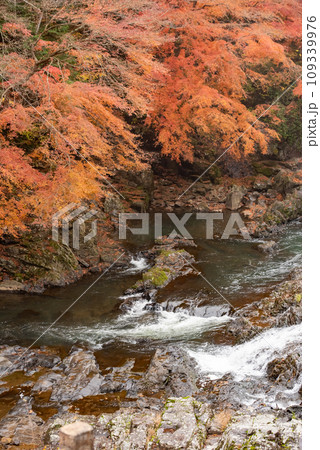 栃木県にある紅葉がとても美しい馬門の滝 栃木県にある紅葉がとても美しい馬門の滝 109339976