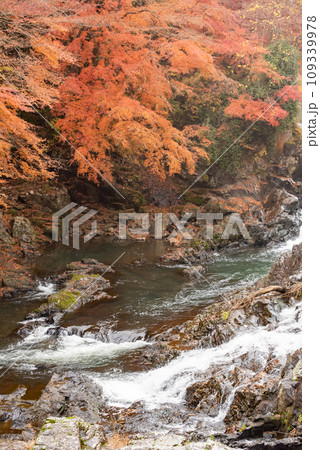 栃木県にある紅葉がとても美しい馬門の滝 栃木県にある紅葉がとても美しい馬門の滝 109339978
