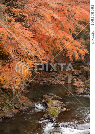 栃木県にある紅葉がとても美しい馬門の滝 109339993