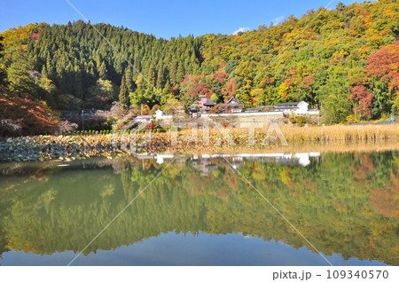 紅葉の始まりの大雲寺と溜池 紅葉の始まりの大雲寺と溜池 109340570