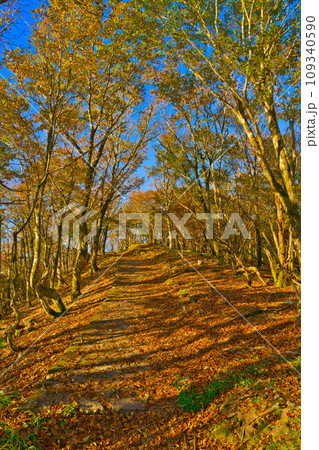 【和歌山県】10月・紅葉を見に護摩壇山へ 109340590