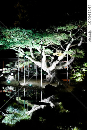 四国・高松の栗林公園（ミシェラン★★★）秋のライトアップ 109341144