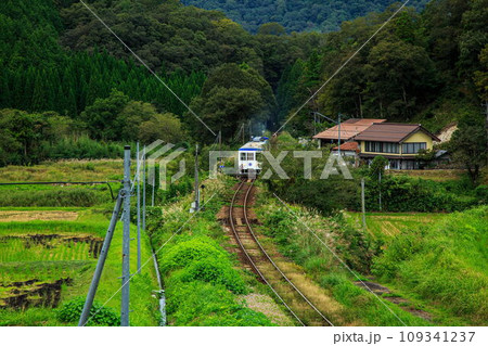 奥出雲おろち号 奥出雲おろち号 109341237