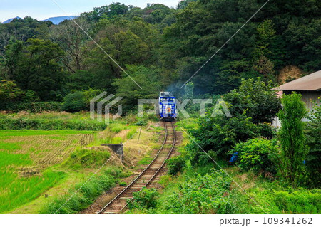 奥出雲おろち号 109341262