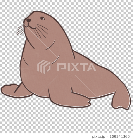 トドのシンプル　イラスト 109341360