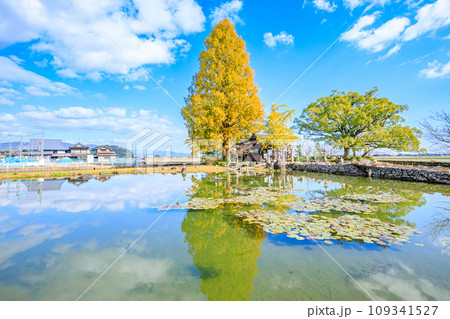 秋の縫ノ池と川津厳島神社　佐賀県白石町 109341527