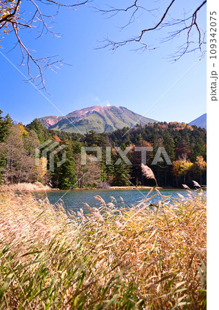 オンネトーの秋 109342075