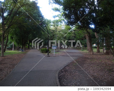 芦花公園 109342094